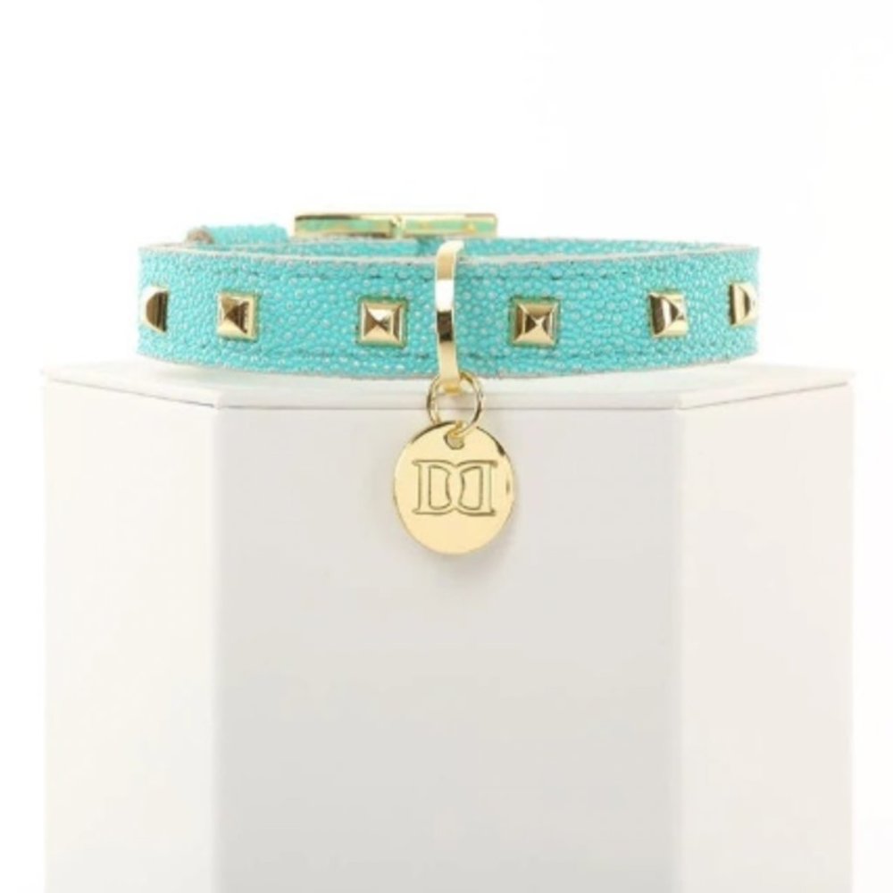 Devious Dogs Turquoise Dog Collar